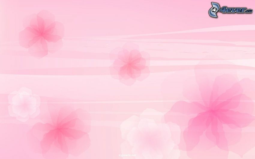 rosa Blumen, rosa Hintergrund