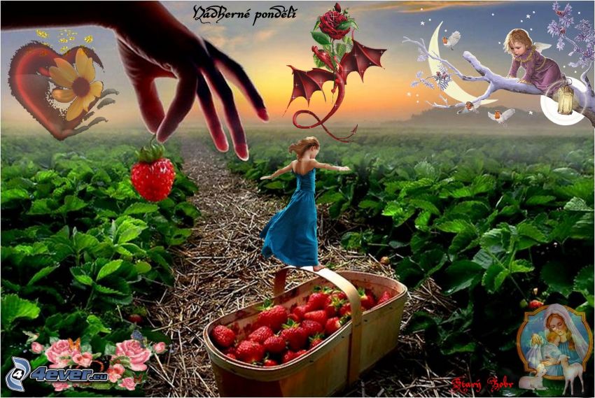 Erdbeeren im Korb, Collage