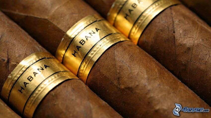 Habana, Zigarren