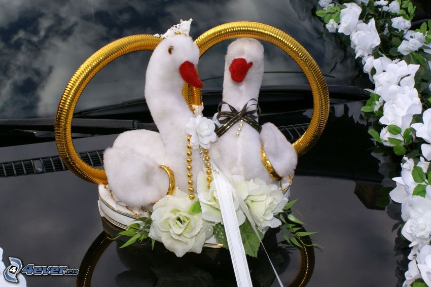 Hochzeit, Auto