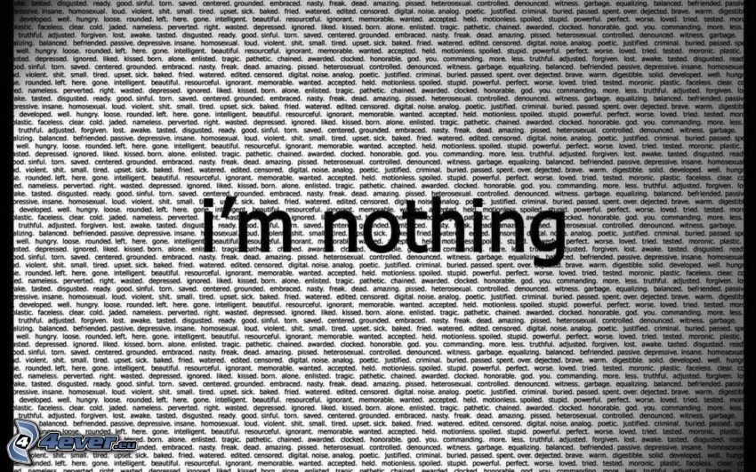 Ich bin nichts