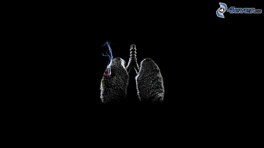 Lunge, Rauch