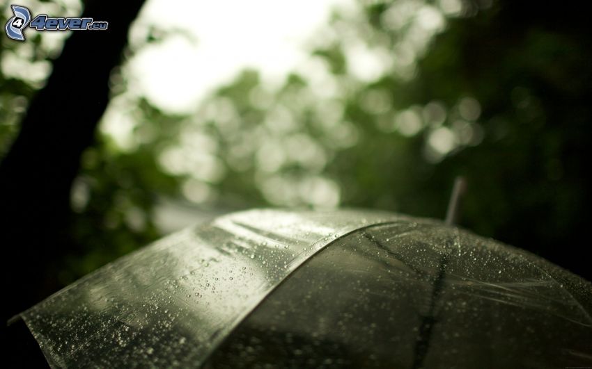 Regenschirm, Wassertropfen