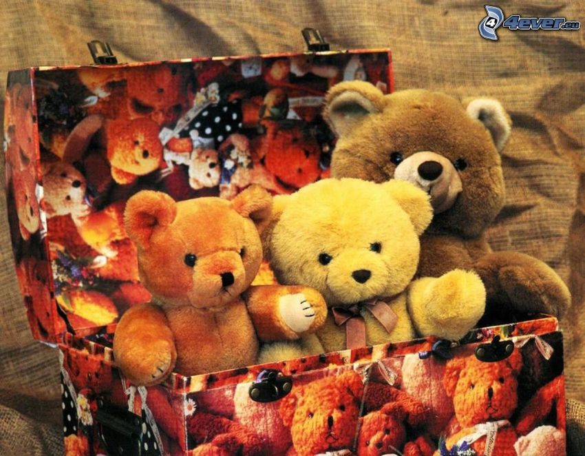 Teddybären, Schachtel