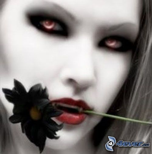 Vampir, schwarze Blume