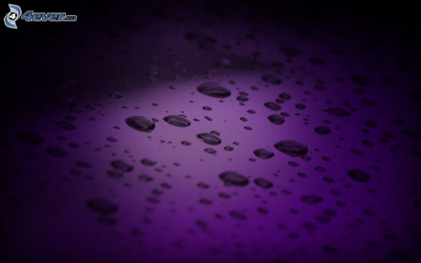 Wassertropfen, violett Hintergrund