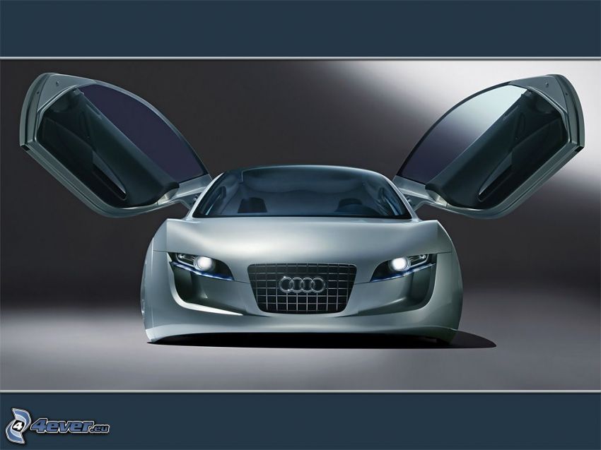 Audi, Konzept