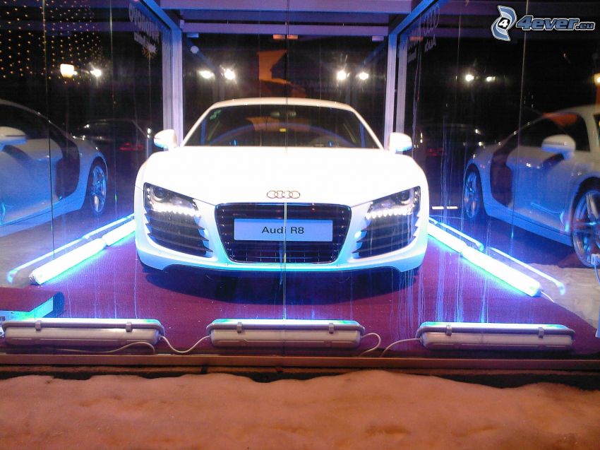 Audi R8, Automobilausstellung