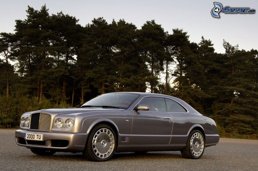 Bentley Brooklands, Wald