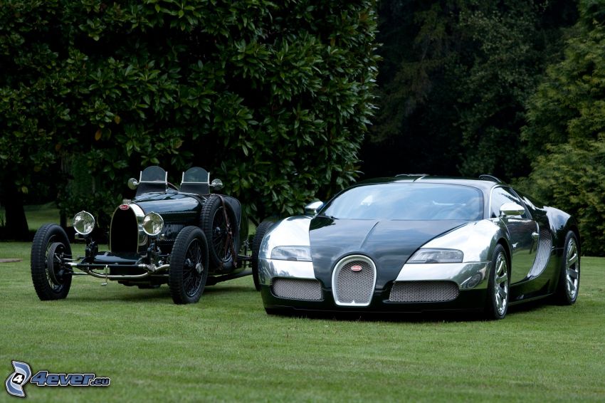 Bugatti Veyron, Oldtimer, Bäume