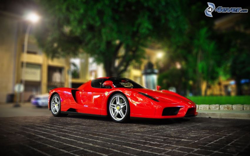 Ferrari Enzo, diorama
