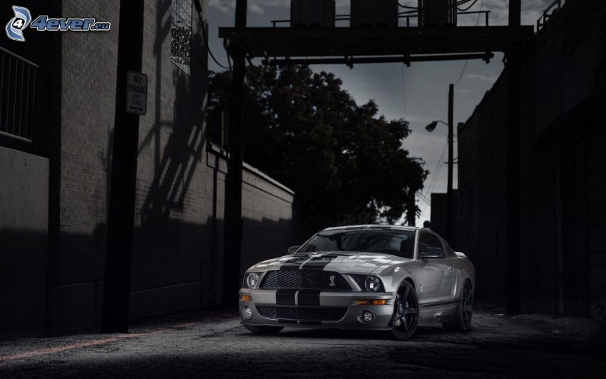 Ford Mustang GT500, Gasse