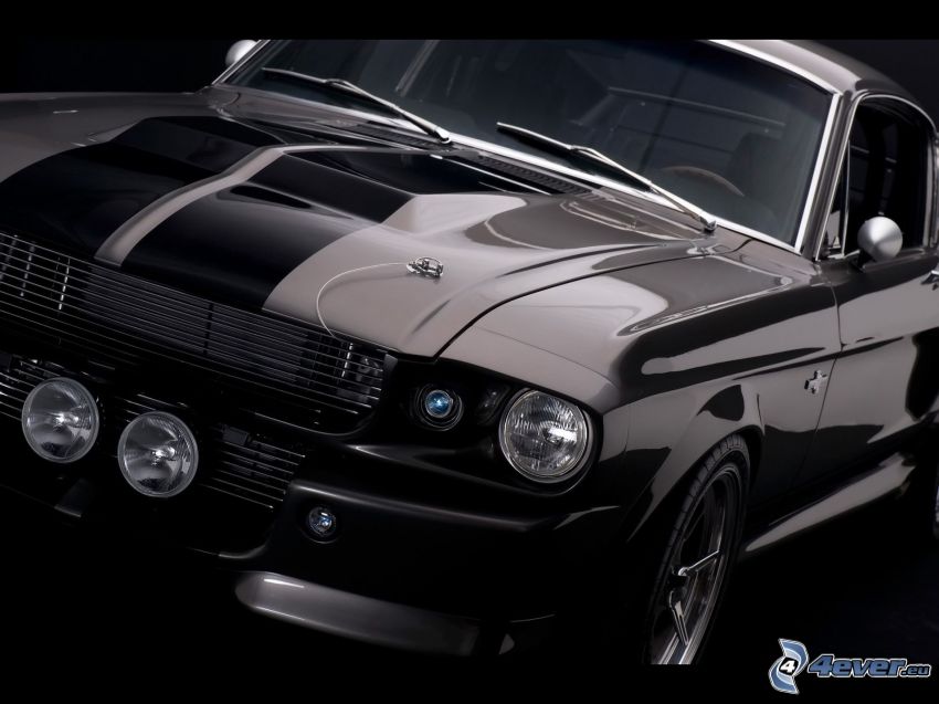 Ford Mustang Shelby GT500, Vorderteil