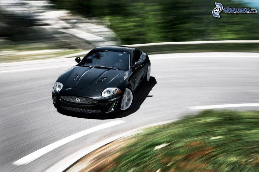 Jaguar, Geschwindigkeit, Kurve, Driften