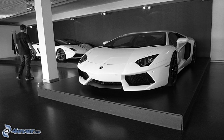 Lamborghini Aventador, Ausstellung, Mann