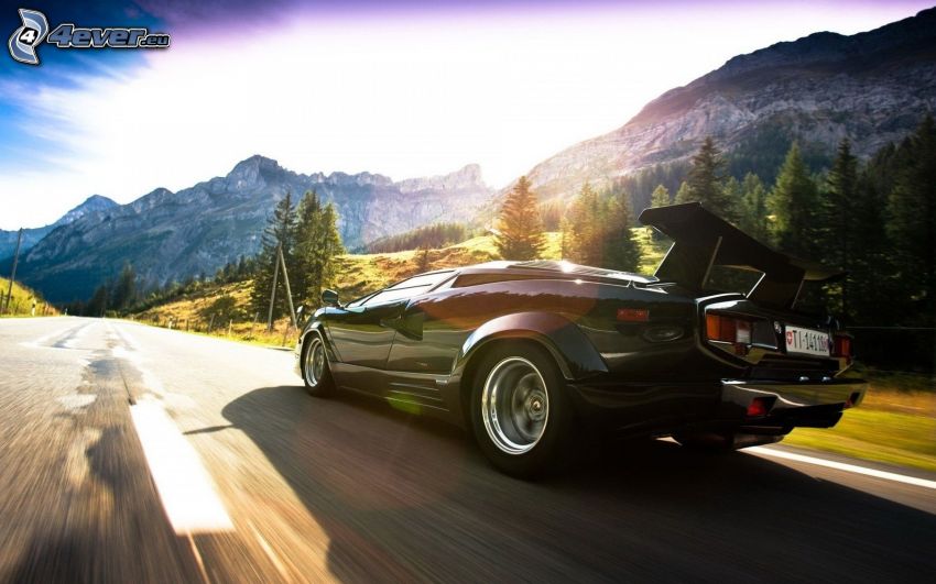 Lamborghini Countach, Geschwindigkeit, felsige Berge, Nadelbäume