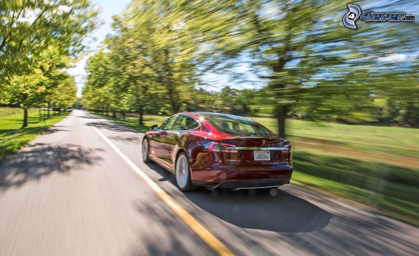 Tesla Model S, Geschwindigkeit, gerade Strasse, Baumallee
