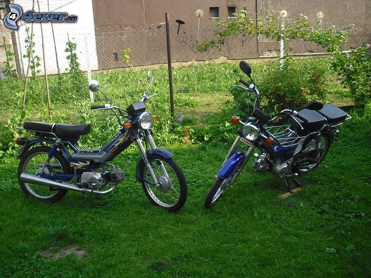 Mopeds, Gras, Drahtzaun