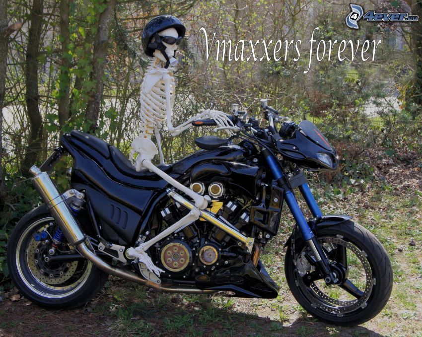 Skelett, Motorrad