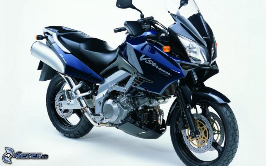 Suzuki, Motorrad