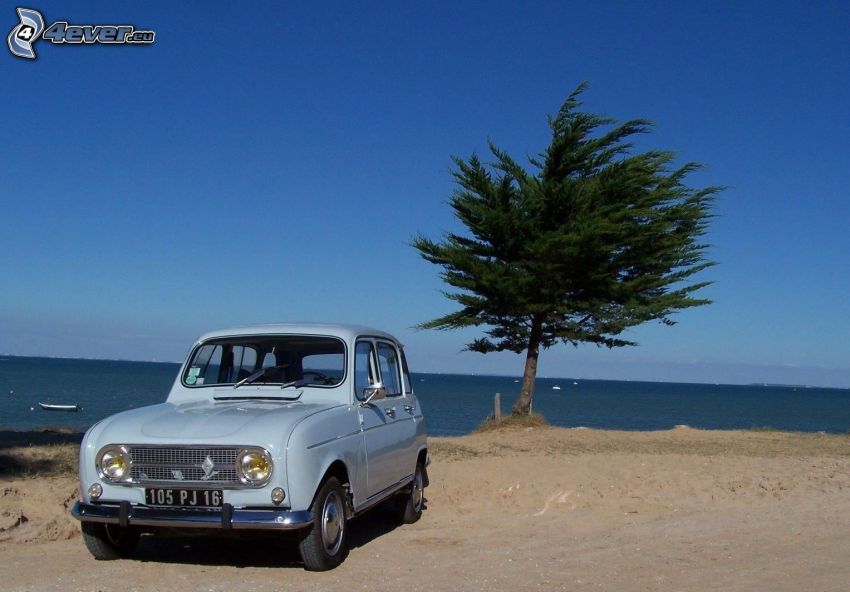 Oldtimer, Baum, Meer, Sandstrand