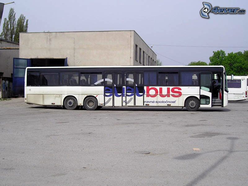 Eurobus, Bus