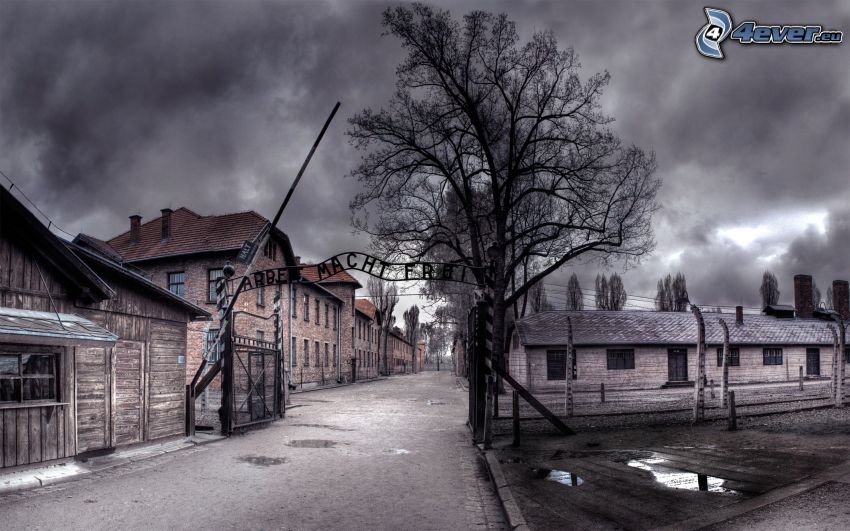 Auschwitz, Häuser, Baum