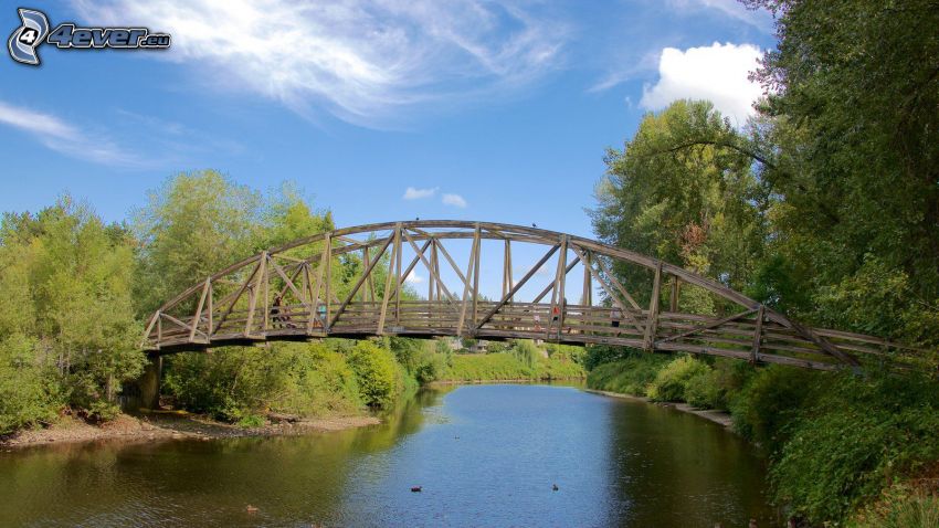 Bothell Bridge, Holzbrücke, Fluss, Wald