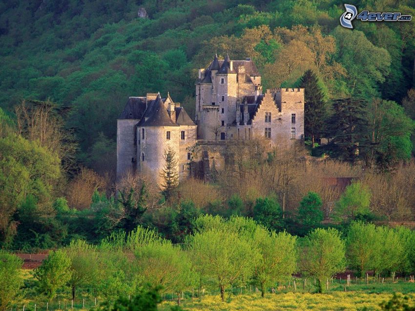 Fayrac, Schloss, Frankreich, Wald