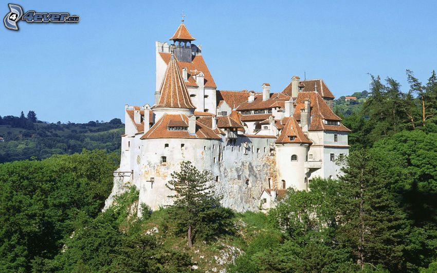 Schloss, Rumänien, Bäume