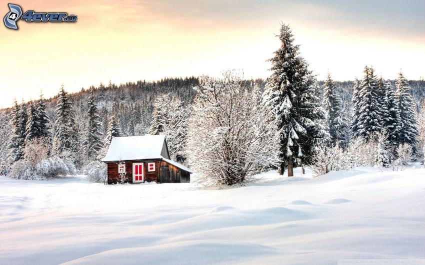 schneebedeckte Hütte, Wiese, Schnee