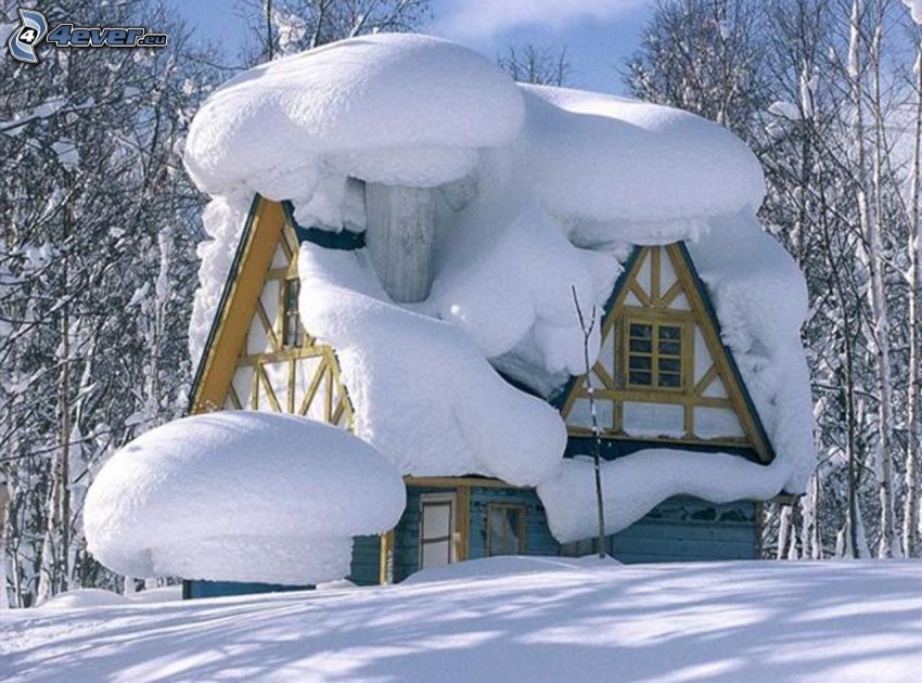 schneebedecktes Haus