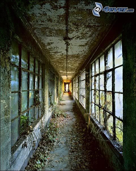 verlassenener Korridor in der Fabrik, kaputte Fenster, Blätter, verlassene Gebäude