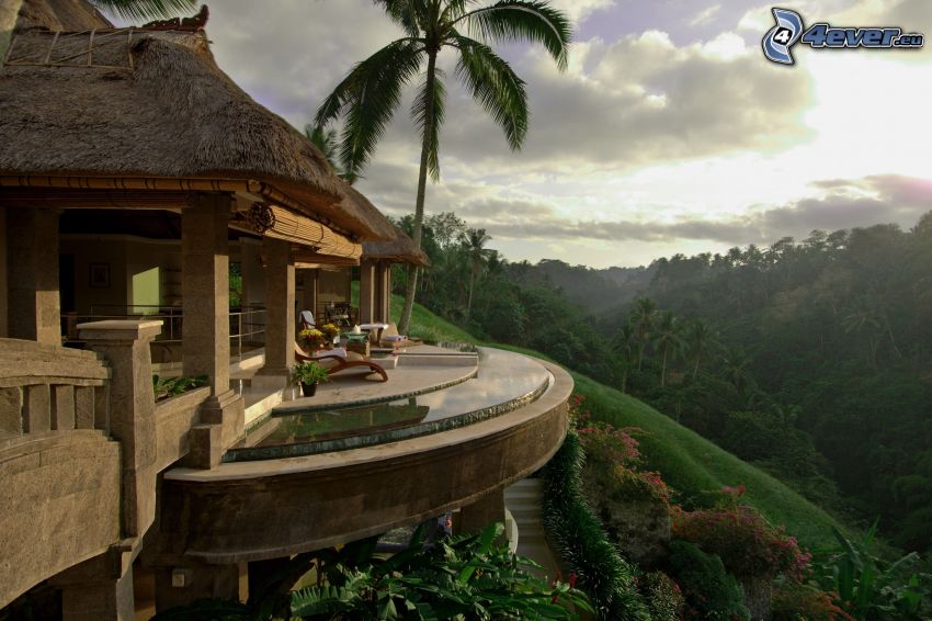 Terrasse, luxuriöses Wohnzimmer, Dschungel