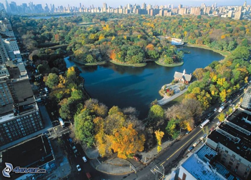 Central Park, See