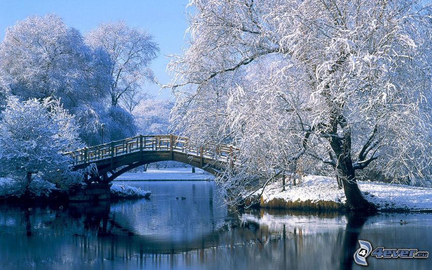 verschneiter Park, Holzbrücke, gefrorener Baum
