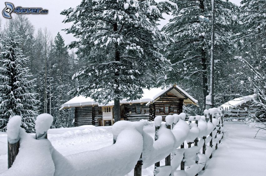 schneebedeckte Hütte, verschneite Bäume, Holzzaun