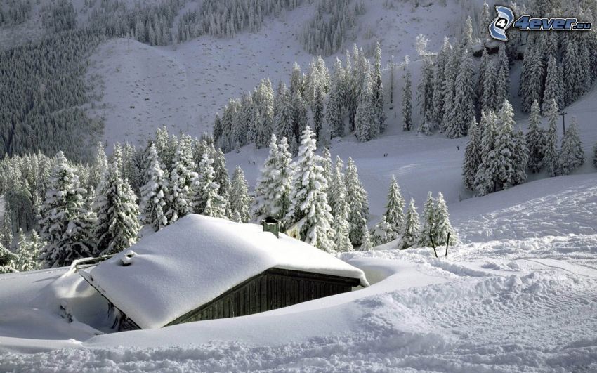 schneebedeckte Hütte, verschneite Landschaft