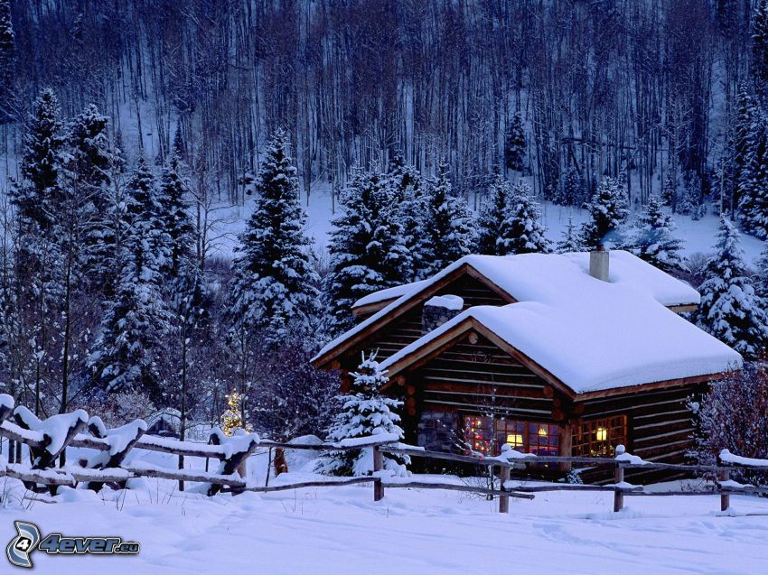 schneebedeckte Hütte, Wald, Winter