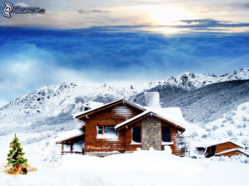 schneebedeckte Hütte, Weihnachtsbaum, Inversionswetterlage