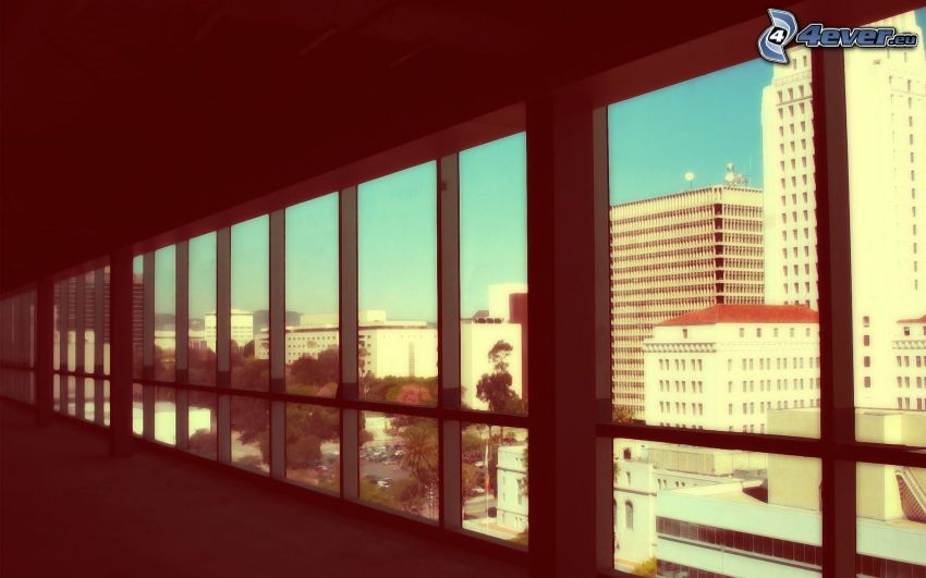 City, Fenster