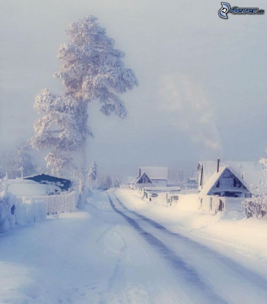 verschneite Straße, schneebedeckter Baum, schneebedecktes Dorf
