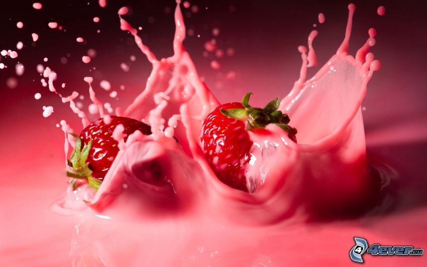 Erdbeeren in der Milch
