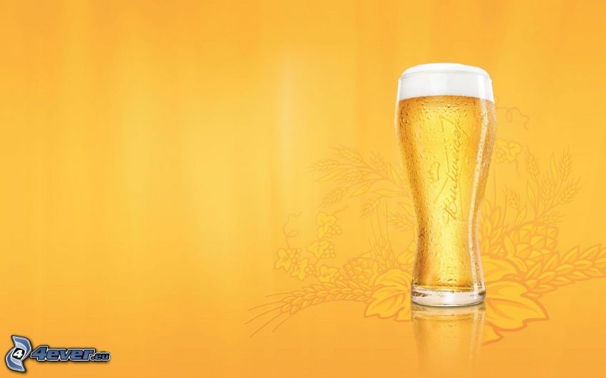 Glas Bier, gelber Hintergrund