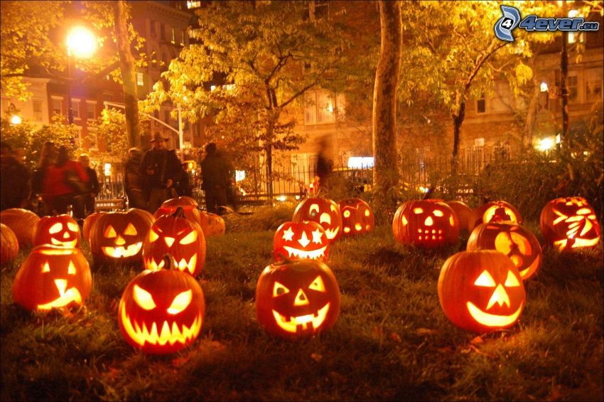 Halloween-Kürbisse, jack-o'-lantern