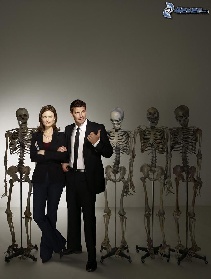 Bones - Die Knochenjägerin, Serie