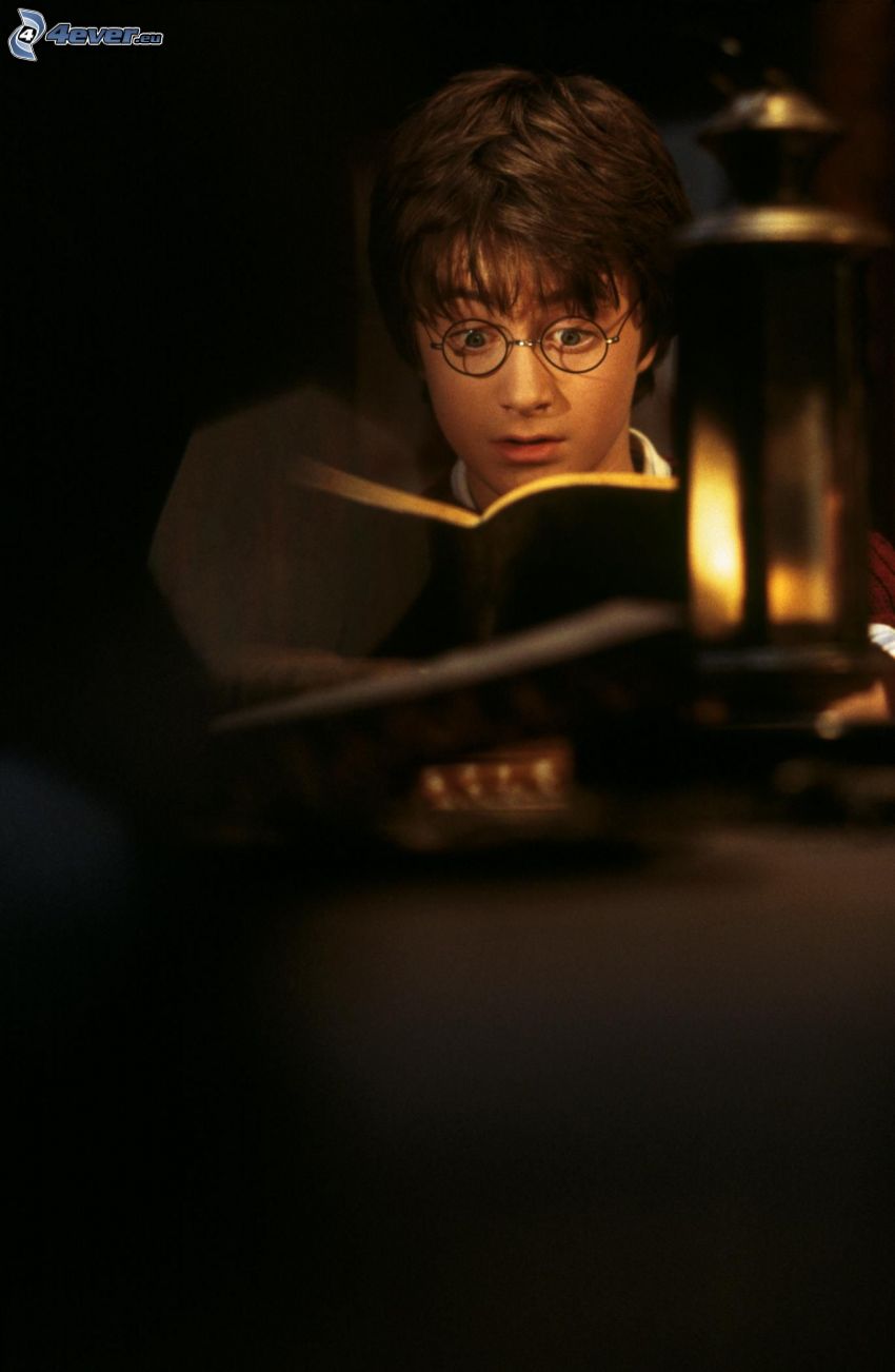 Harry Potter, Buch