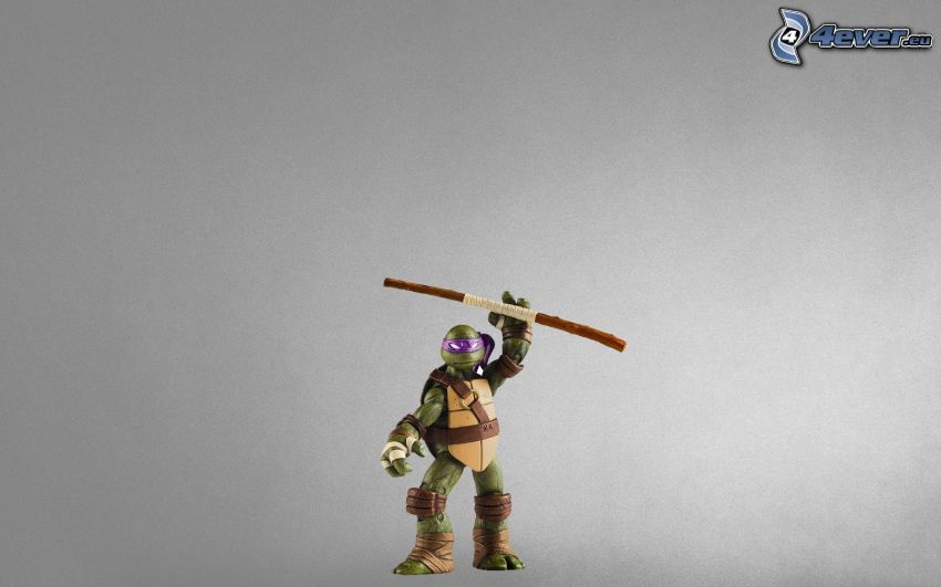 Ninja Schildkröten