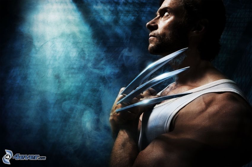 Wolverine