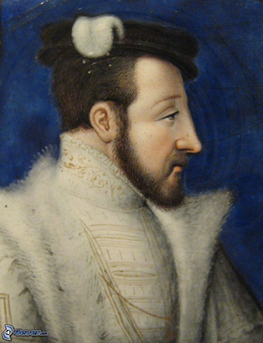 Heinrich II.. Französisch, Fell